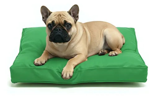 Colchón Liso Antidesgarro 70x50x8 Cama Perros Mascotas Gatos