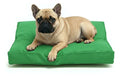 Colchón Liso Antidesgarro 70x50x8 Cama Perros Mascotas Gatos