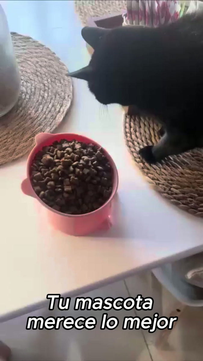 Comedero Bebedero Plato Alto Gato Mascota Elevado Inclinado