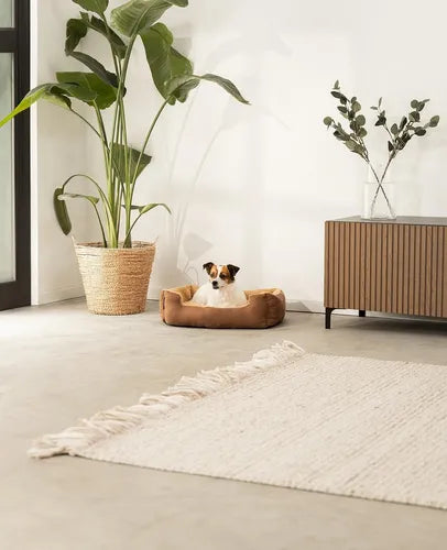 Moises Para Perro Gato Cucha Cama 68 X 48 De Super Calidad
