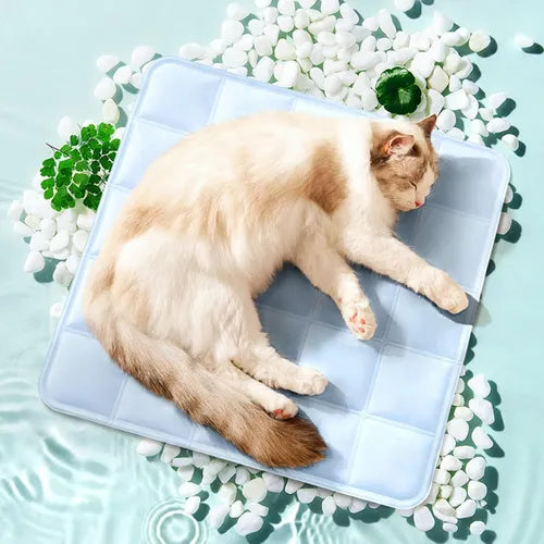 Alfombra Refrescante Mascotas 45 X 45 Cm Refrigerante Perro